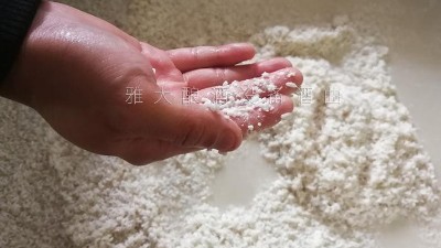 10年釀酒經(jīng)驗(yàn)的大型釀酒設(shè)備廠家，教您做金銀花糯米酒！