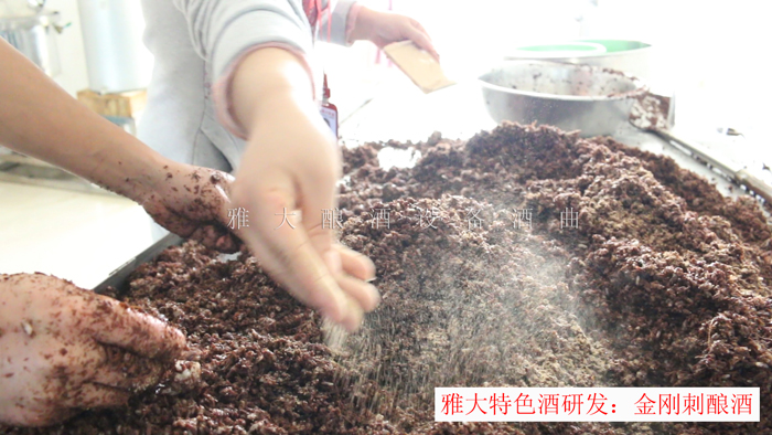 新型釀酒設(shè)備釀造的金剛刺酒賣188元一斤，唐總卻不知足…