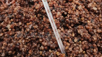 做酒設(shè)備釀固態(tài)高粱酒控制好這5個溫度，出酒率瞬間提高！