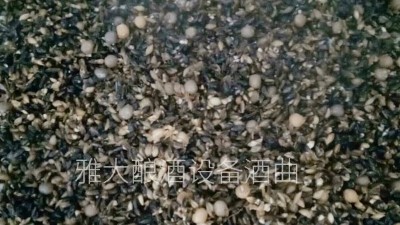 用小型酒廠釀酒設(shè)備做黑大麥酒，開家個(gè)性化的釀酒作坊！