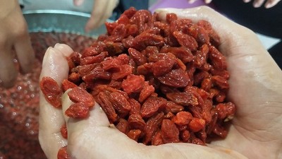 學(xué)會(huì)枸杞酒的三種常見釀酒技術(shù)，您就是釀酒高手！