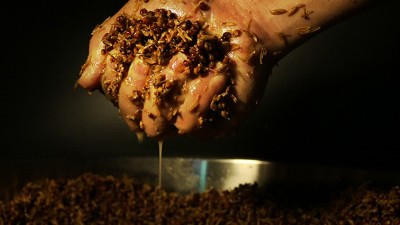 明明發(fā)酵得很好，為什么用小型釀酒設(shè)備蒸酒時就是不出酒？