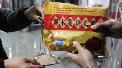 為了多出酒，100斤糧食多加1倍用量的酒曲，結(jié)果……