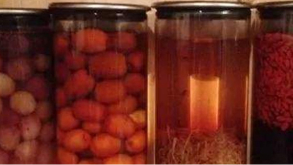 蒸餾釀酒設(shè)備：常見的6種野果，泡成酒連老酒鬼們都念念不忘！
