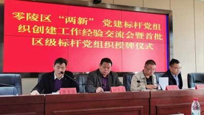 雅大榮獲“零陵區(qū)兩新黨建標(biāo)桿黨組織”稱號(hào)