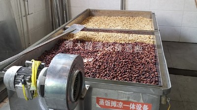 蓮子酒怎么做？11步教您用小型酒廠釀酒設備做出美味蓮子酒