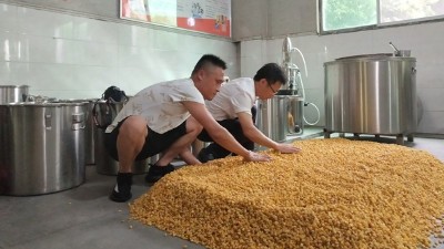 零基礎(chǔ)用做酒設(shè)備釀酒，必須要掌握糖化和酒化的6大要點！