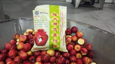 龍豐果酒怎么釀？雅大小型酒廠釀酒設(shè)備現(xiàn)場教您釀！